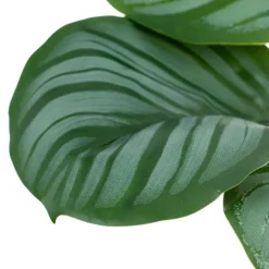Banak Plantas Decorativas Artificiales*Basy