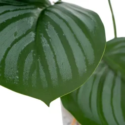 Banak Plantas Decorativas Artificiales*Basy