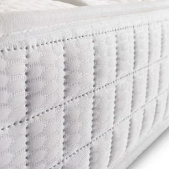 Banak Colchónes*Chester