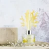 Banak Difusores De Aromas*Coral