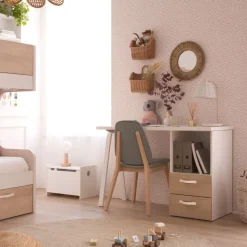 Banak Sillas Modernas*Hudson