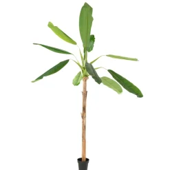 Banak Plantas Decorativas Artificiales*Kanas