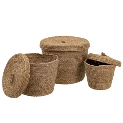 Banak Tarros*Kokas