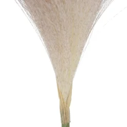 Banak Plantas Decorativas Artificiales*Kura