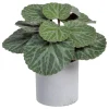 Banak Plantas Decorativas Artificiales*Lampe