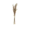 Banak Plantas Decorativas Artificiales*Lanes