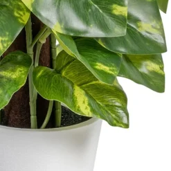 Banak Plantas Decorativas Artificiales*Lanke