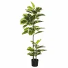 Banak Plantas Decorativas Artificiales*Villa