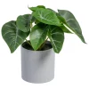 Banak Plantas Decorativas Artificiales*Wanka
