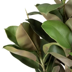Banak Plantas Decorativas Artificiales*Xatus